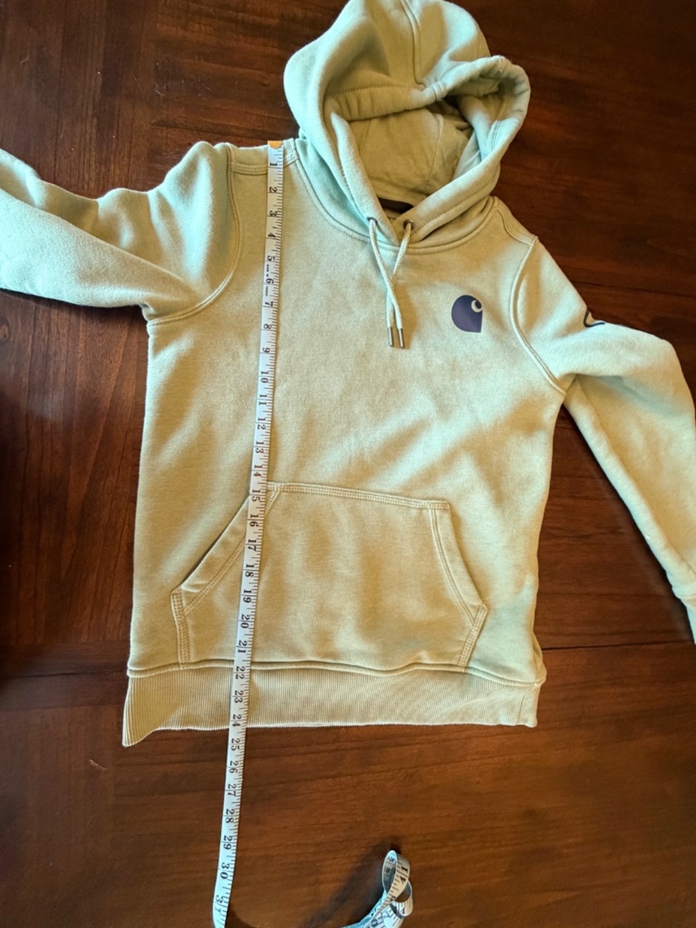 Carhartt Sage Hoodie Sweatshirt with Sellout Sleeve, Size XS - Picture 13 of 14